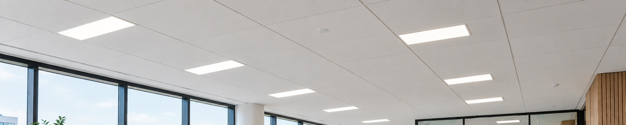 LED Panelen 30x60 cm LED Panelen 30x60 cm