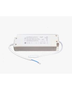 LED Paneel Driver 40W WiFi voor CCT Panelen | 750 mA