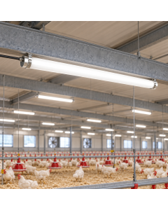 LED Waterdicht Armatuur IP69K 40W – 6.000 Lumen – 4000K – 120 cm