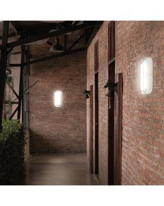 LED-plafondlamp ovaal 10W CCT IP54 IK10 205×105 mm – wit