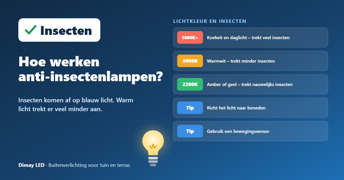 Infographic: Hoe werken anti-insectenlampen?